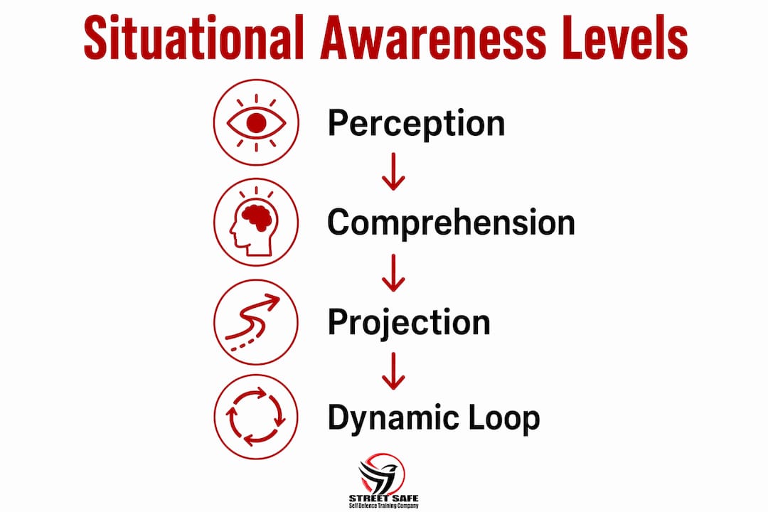 Infographic illustrating levels of situational awareness